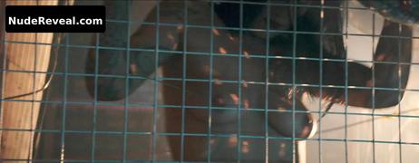 JENNY MILLER nude in Graphic Desires