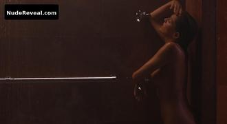 SHARON STONE nude in The Specialist