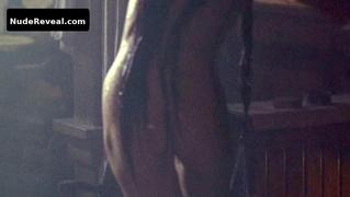 ELLEN BARKIN nude in Wild Bill