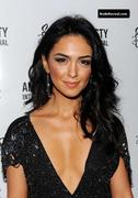 NAZANIN BONIADI nude in Iron Man