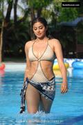 PRIYAMANI nude in Drona