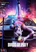 MARGOT ROBBIE nude in Birds Of Prey (and The Fantabulous Emancipation Of One Harley Quinn)