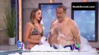 MARIA ELISA CAMARGO nude in El gordo y la flaca