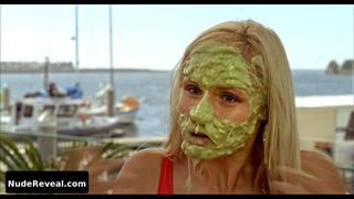 MICHELLE HUNZIKER nude in Natale A Beverly Hills