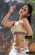TAMANNA BHATIA nude in Badrinath