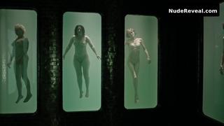 LISA BANES nude in A Cure for Wellness