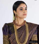 PRIYANKA MOHAN nude in Captain Miller