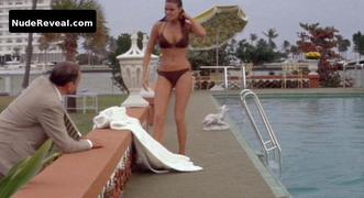 RAQUEL WELCH nude in Lady in Cement