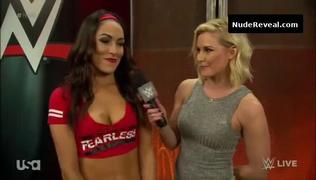 BRIE BELLA nude in WWE Smackdown!