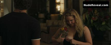 AMY SCHUMER nude in Snatched
