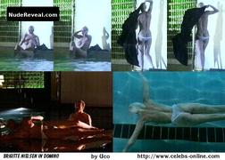 BRIGITTE NIELSEN nude in Domino