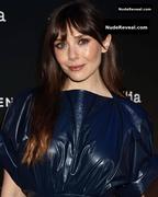 ELIZABETH OLSEN nude in The Assessment