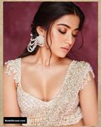 RASHMIKA MANDANNA nude in Animal