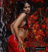 ANUSHKA SHETTY nude in Baladoor