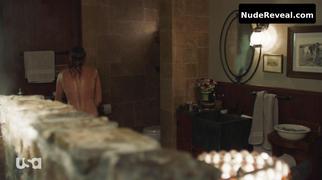 SHANTEL VANSANTEN nude in Shooter