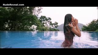 PRIYANKA CHOPRA nude in Don 2006