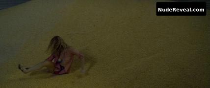 HEATHER GRAHAM nude in At Any Price