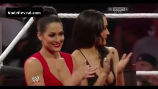 BRIE BELLA nude in WWE Smackdown!