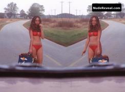 CATHERINE BACH nude in The Dukes of Hazzard