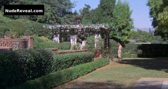 FAYE DUNAWAY nude in The Arrangement