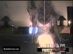 PAMELA ANDERSON nude in Pamela Anderson sex tape
