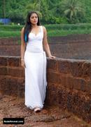 PRIYAMANI nude in Raaj