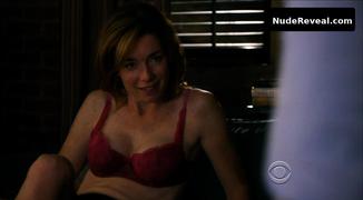 JULIANNE NICHOLSON nude in The Good Wife