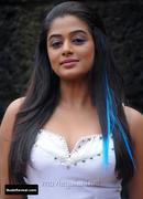 PRIYAMANI nude in Raaj