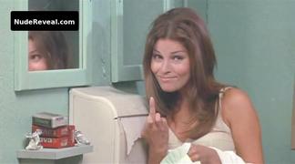 RAQUEL WELCH nude in Fuzz