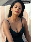BHAIRAVI GOSWAMI nude in Hate Story