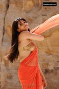 ANUSHKA SHETTY nude in Ragada
