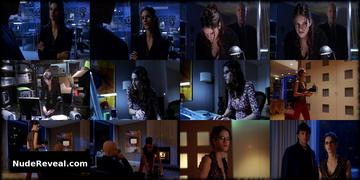 MISSY PEREGRYM nude in Smallville