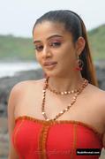 PRIYAMANI nude in Raaj