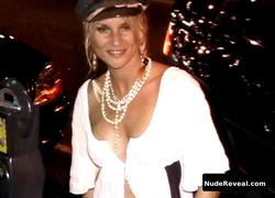 NICOLLETTE SHERIDAN nude in America