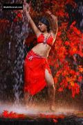 ANUSHKA SHETTY nude in Baladoor