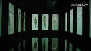 JUDITH HOERSCH nude in A Cure for Wellness