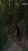 YVONNE STRAHOVSKI nude in Chuck
