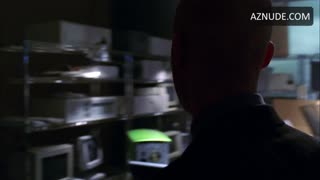 MISSY PEREGRYM nude in Smallville