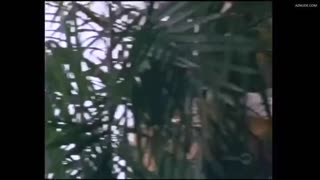 SUSAN FEATHERLY nude in Passion Cove