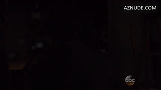 RACHEL BROSNAHAN nude in Black Box