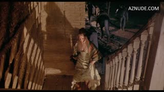 FAYE DUNAWAY nude in Doc