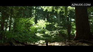 RACHEL BROSNAHAN nude in I