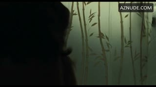 AMANDA SEYFRIED nude in Lovelace