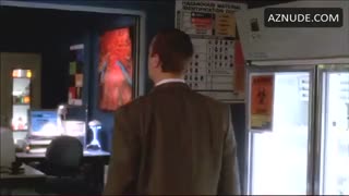 PAULEY PERRETTE nude in NCIS