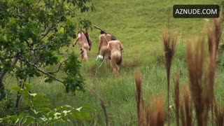 LYNSEY MCCARVER nude in Naked and Afraid XL