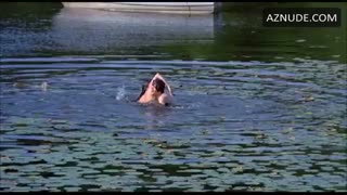BARBARA HERSHEY nude in The Pursuit of Happiness