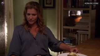 TRICIA HELFER nude in Lie to Me
