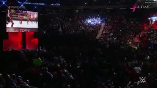 BRIE BELLA nude in Wwe Divas