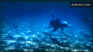 JULIA BRENDLER nude in Dolphins