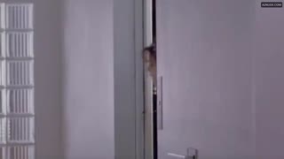SANDRA BULLOCK nude in Who Do I Gotta Kill?